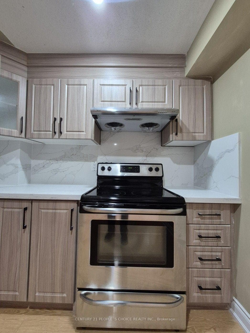 1292 Godwick Drive Unit (Lower) photo 15