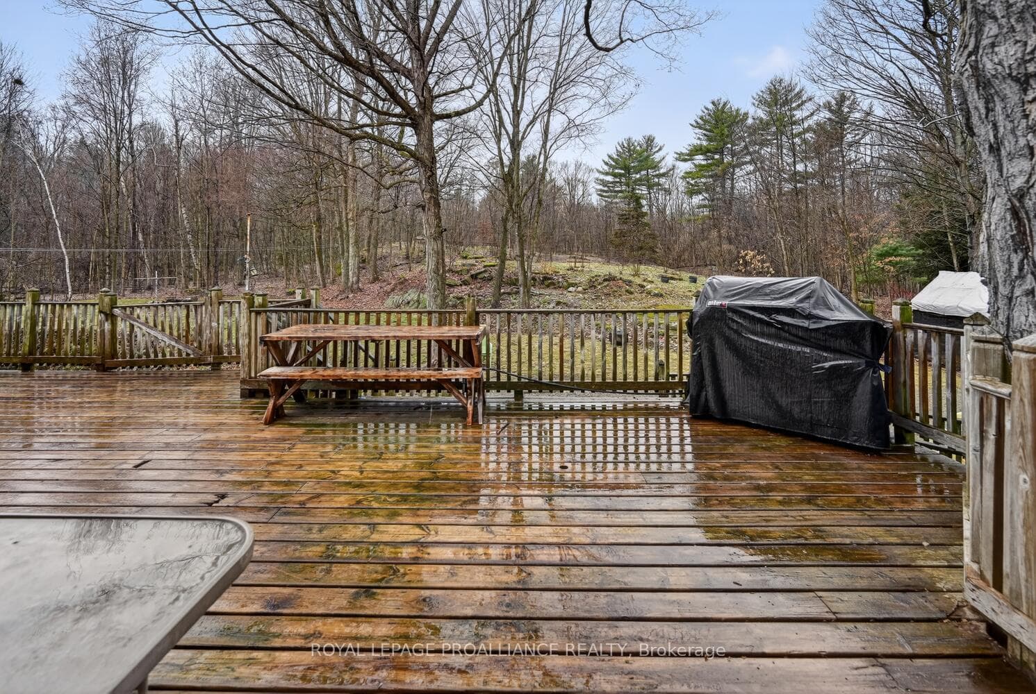 gorgeous back deck
