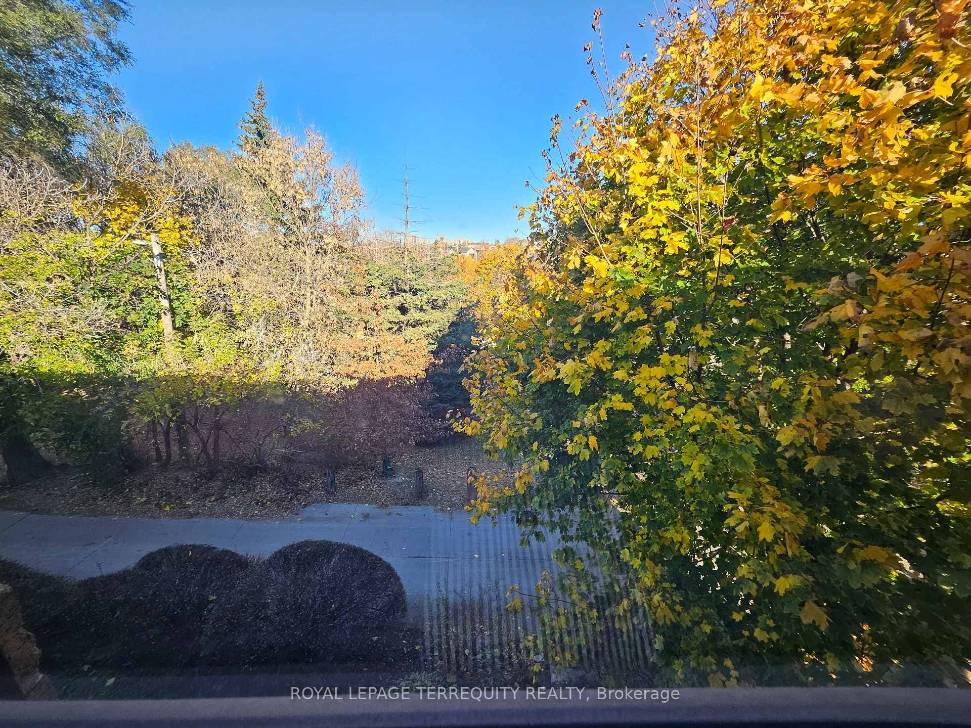 450 Arlington Avenue Unit 6 photo 38