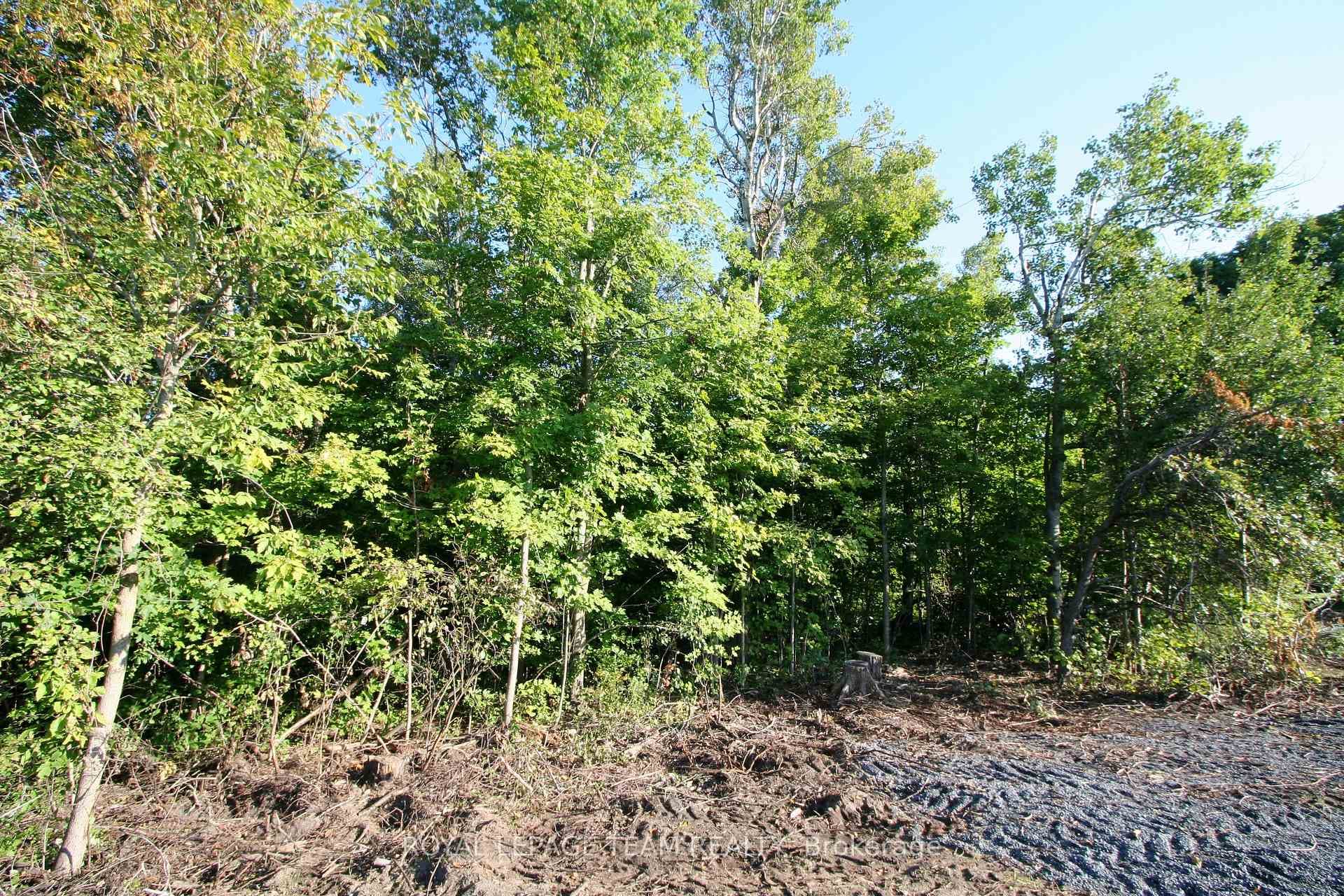 PtLt31 PLEASANT VALLEY Road photo 6