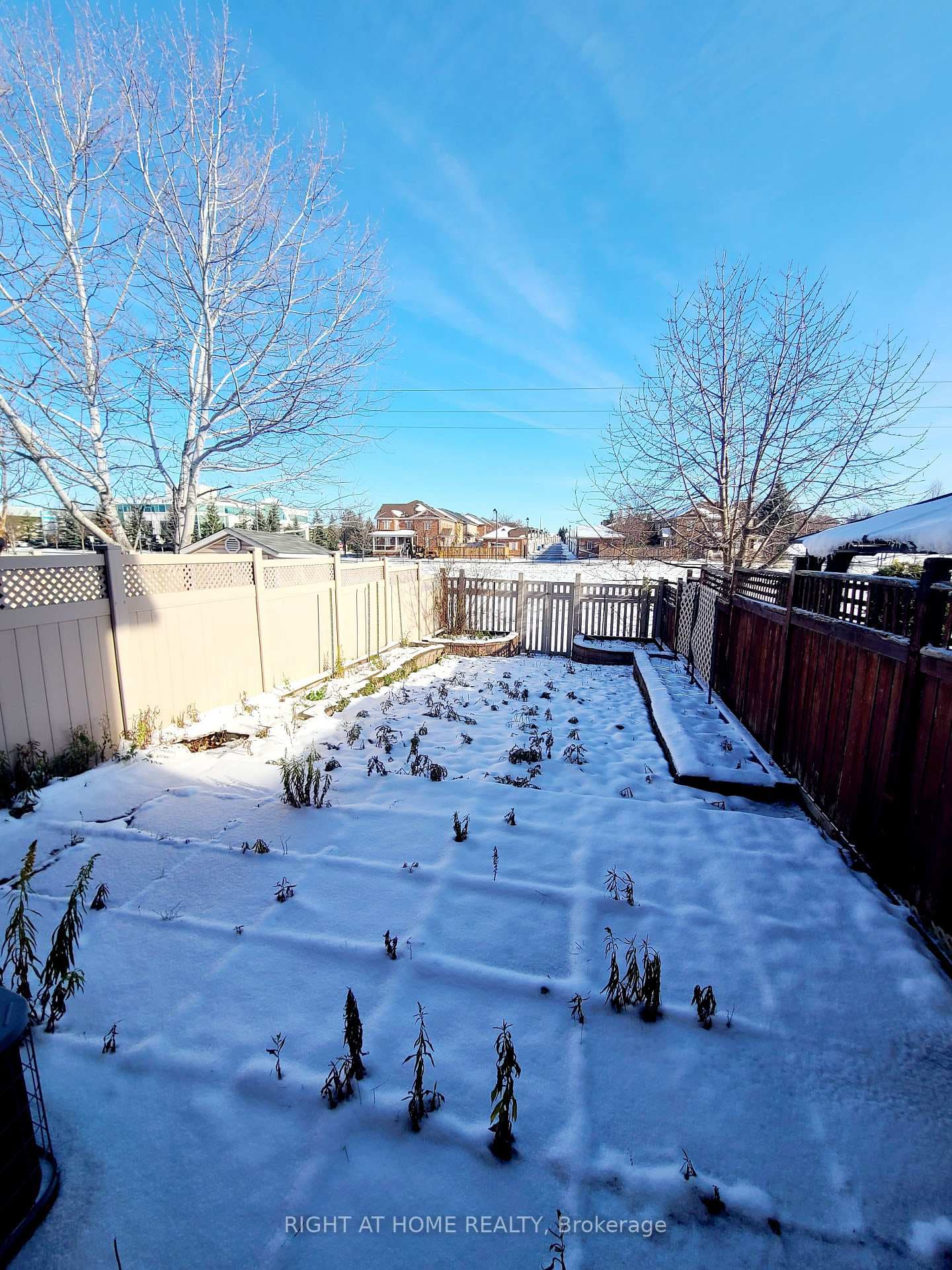 99 Snedden Avenue photo 9