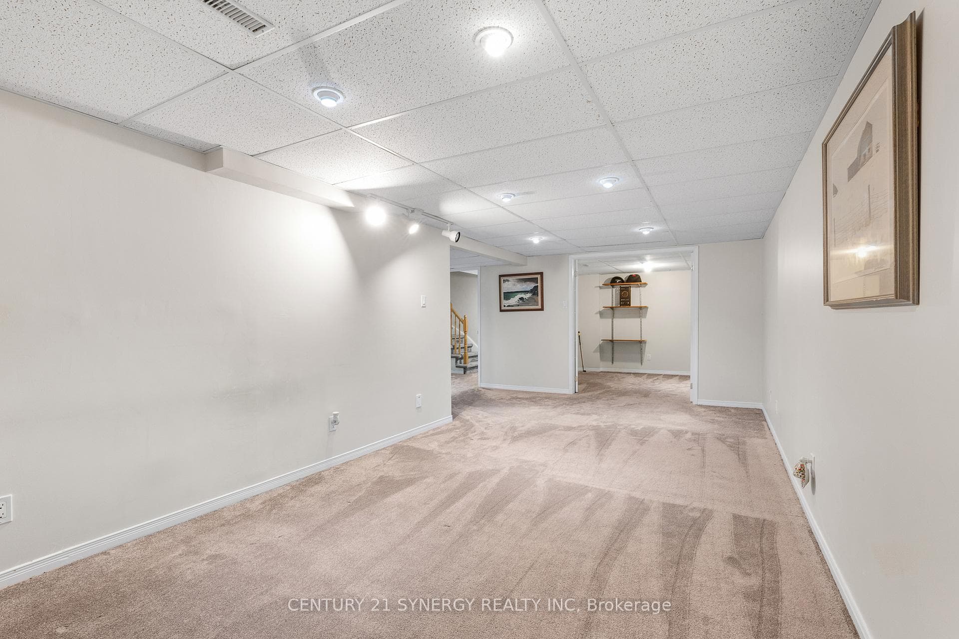 Basement Rec Room