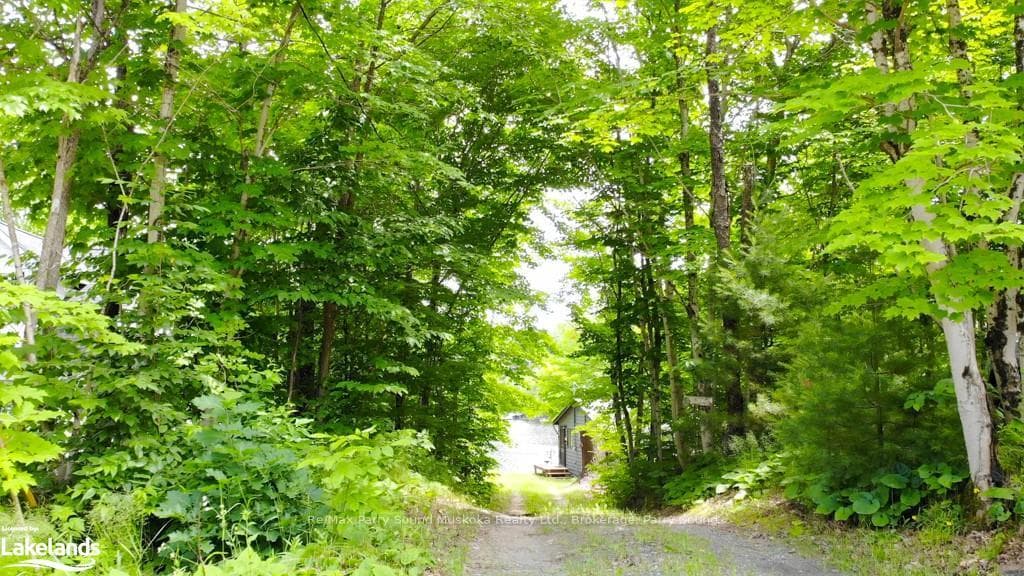 41 BEAVER Trail photo 20