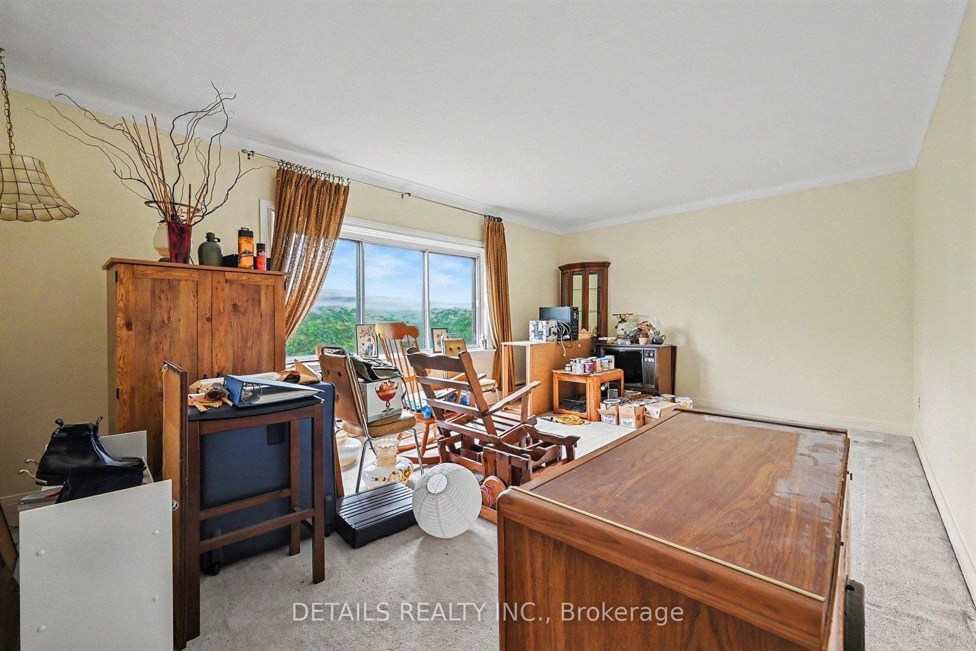 294 Donald Street photo 26