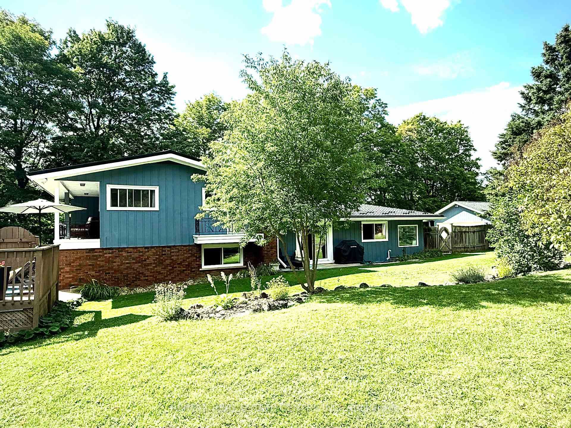 161 Inkerman Street photo 9