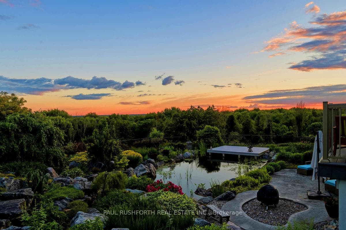 Backyard - Sunset View