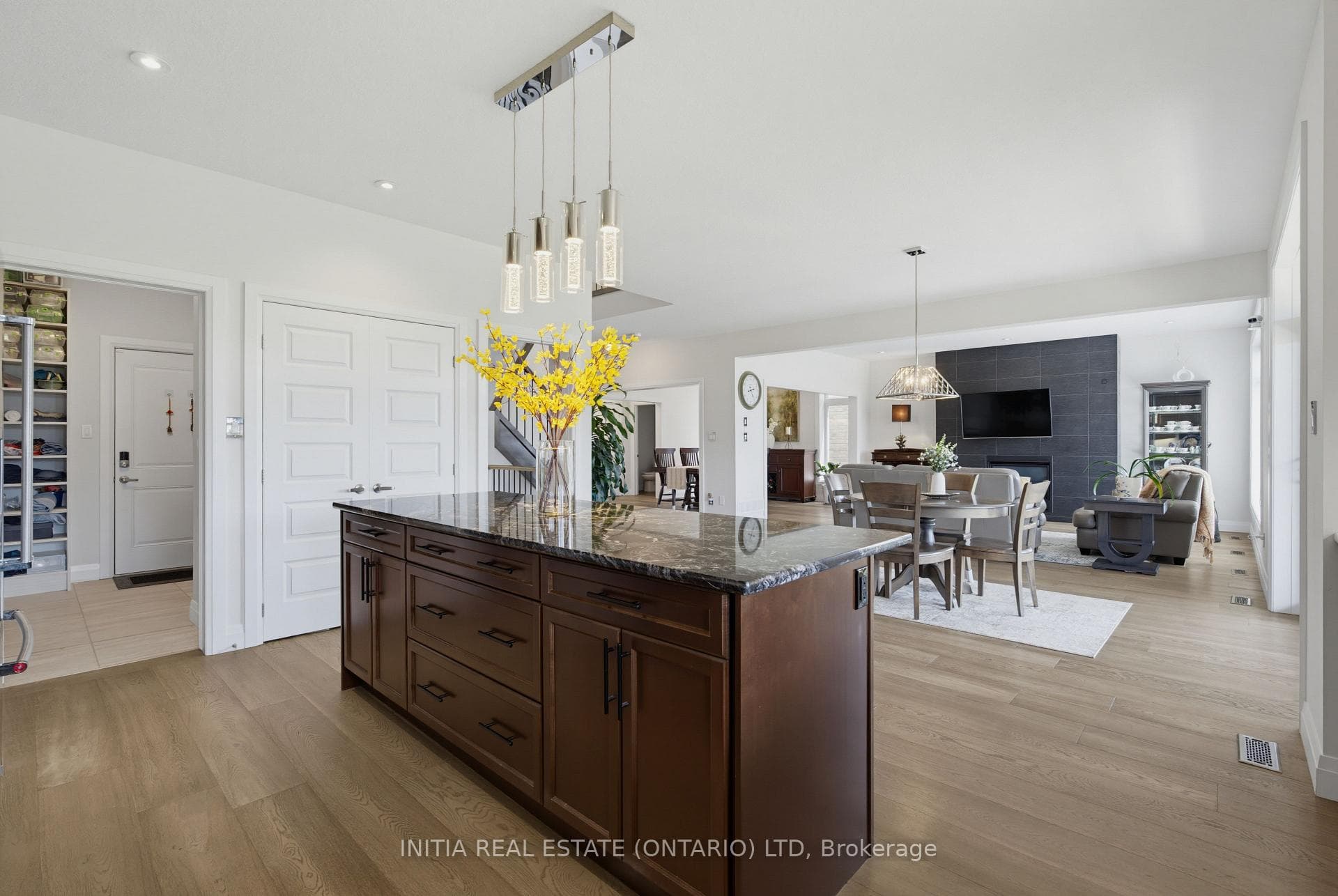 1258 Silverfox Drive photo 8