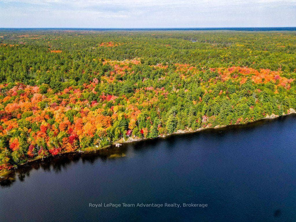 9600 Part 4 Harris Lake Water N/A photo 5
