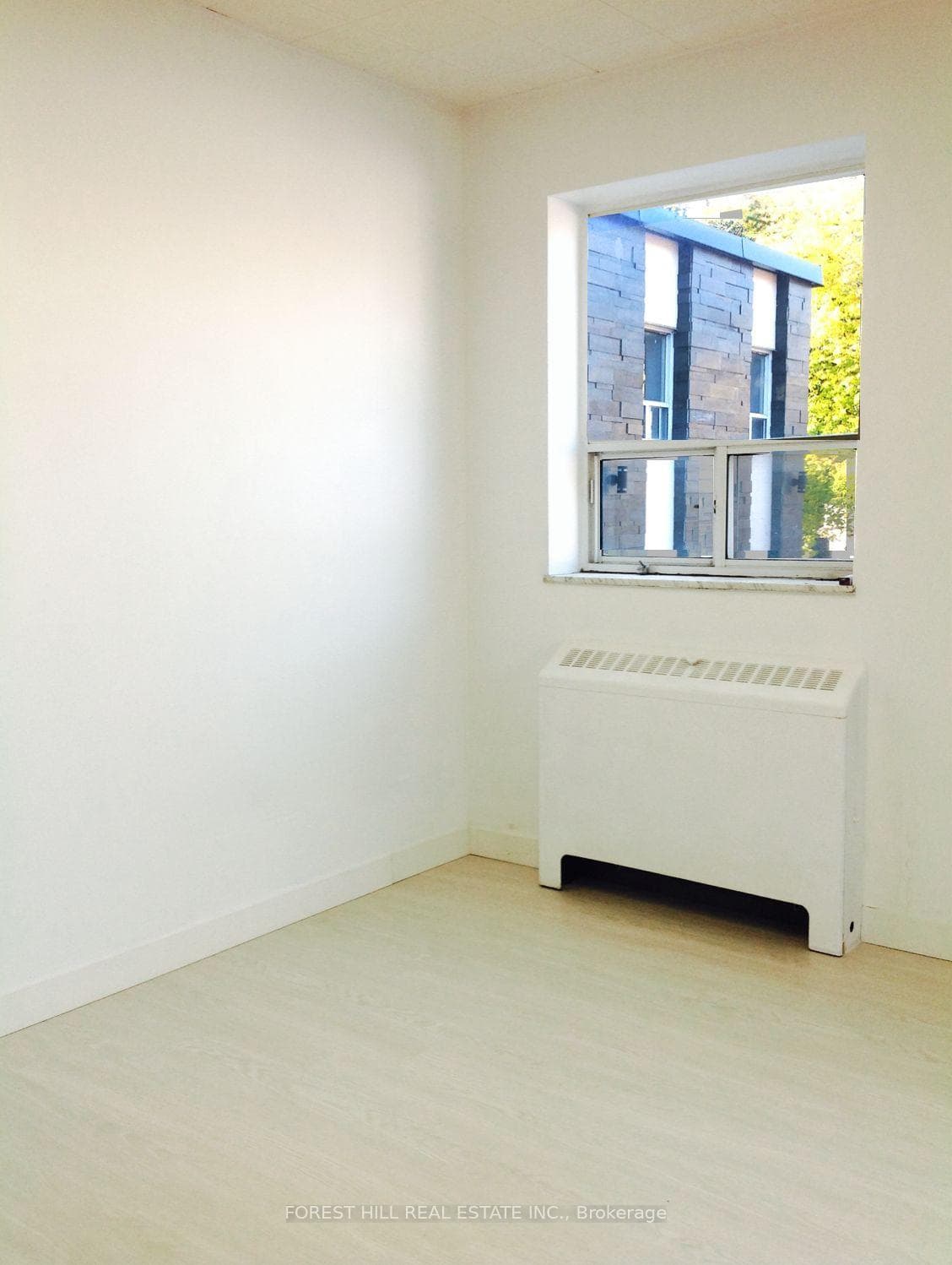 226 Bathurst Street Unit 250 photo 7
