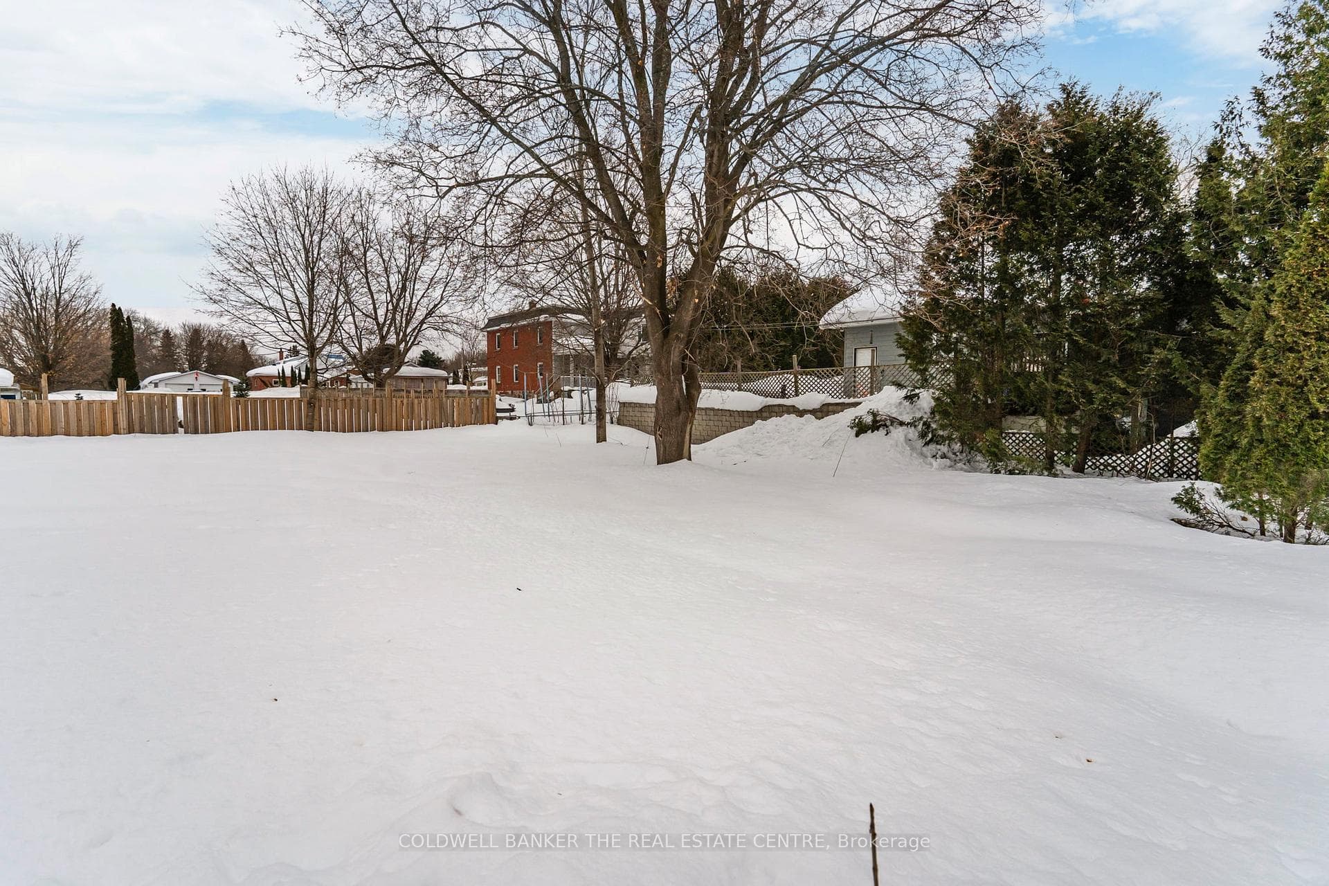411 Mcnicoll Street photo 16