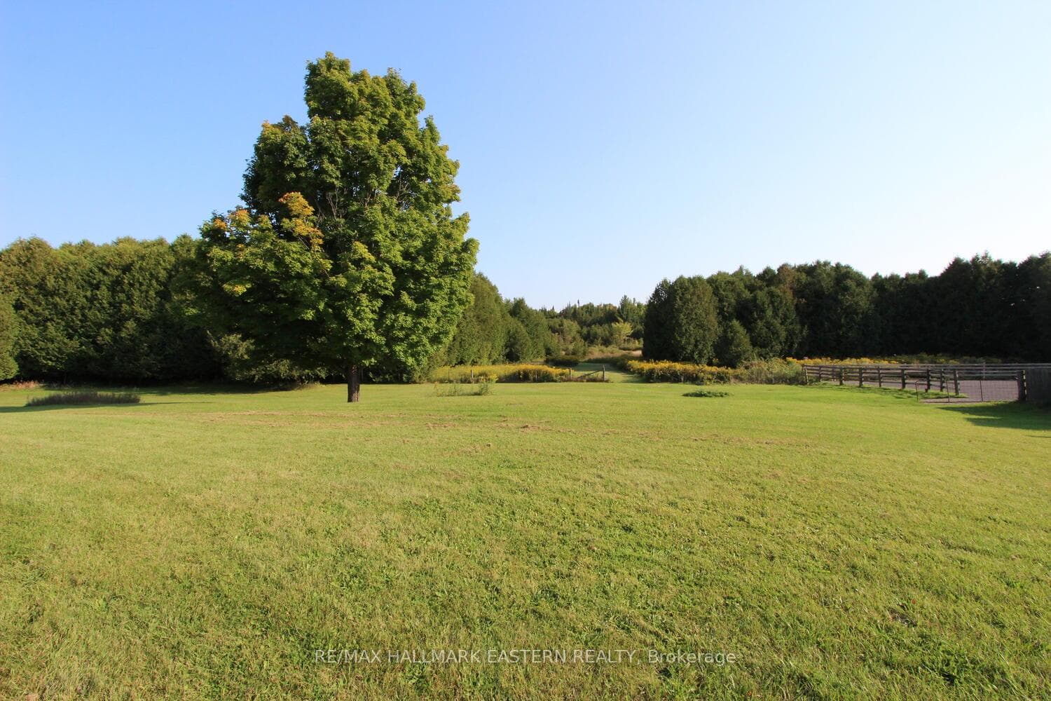 465 County Road 40 N/A photo 24