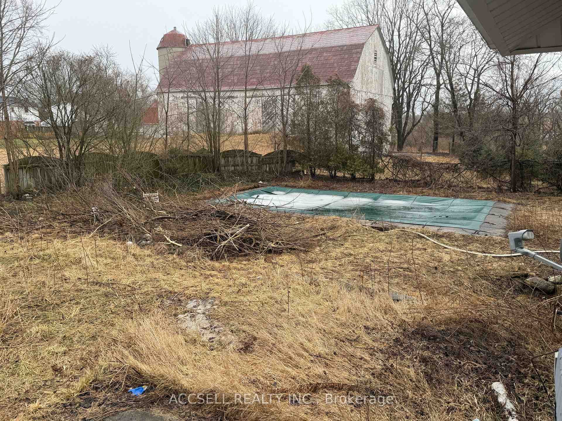 872 Norfolk Street photo 4