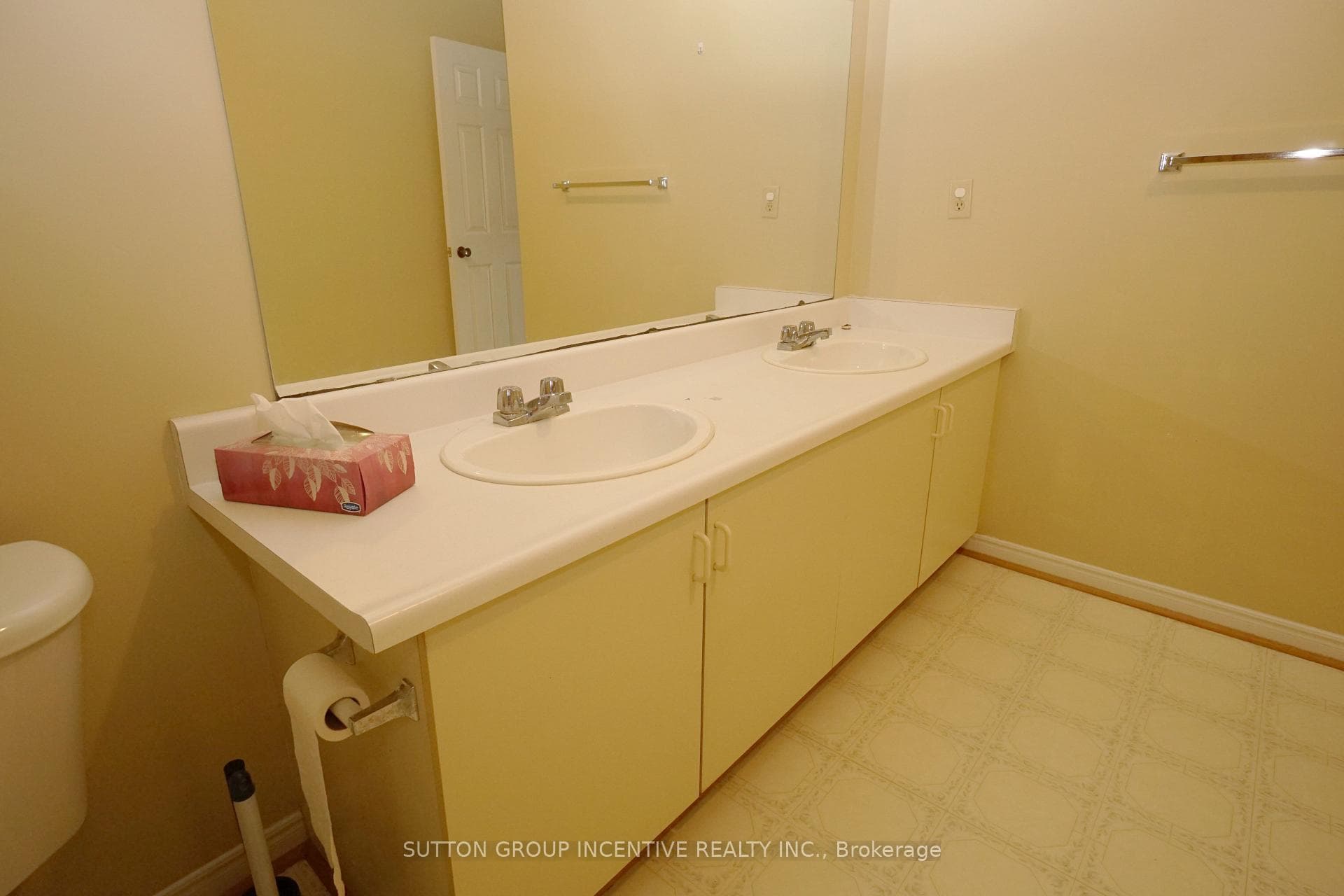 dual sinks