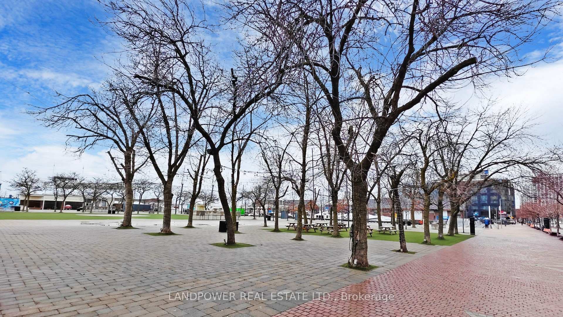 228 Queens Quay Unit 2310 photo 27