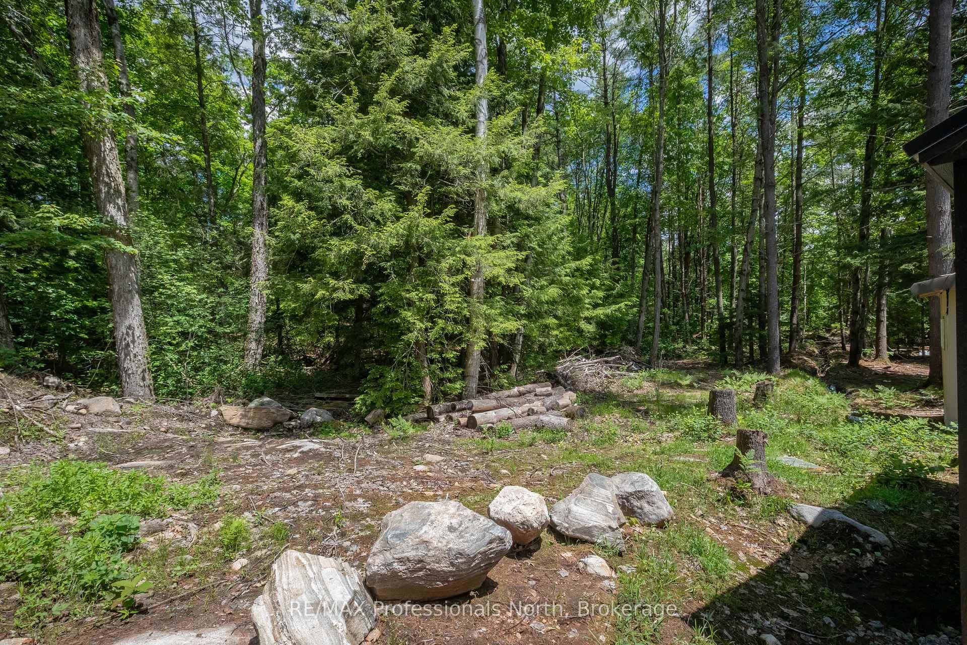1219 MEDORA LAKE Road photo 19