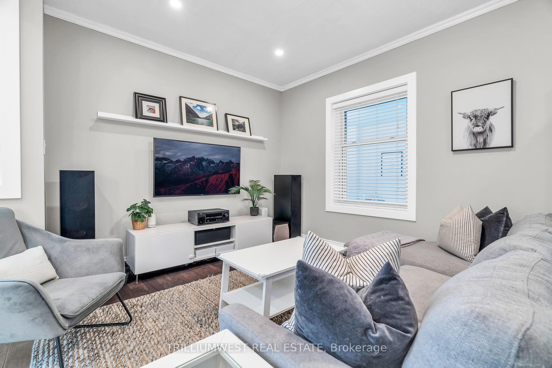 52 Braun Street photo 6