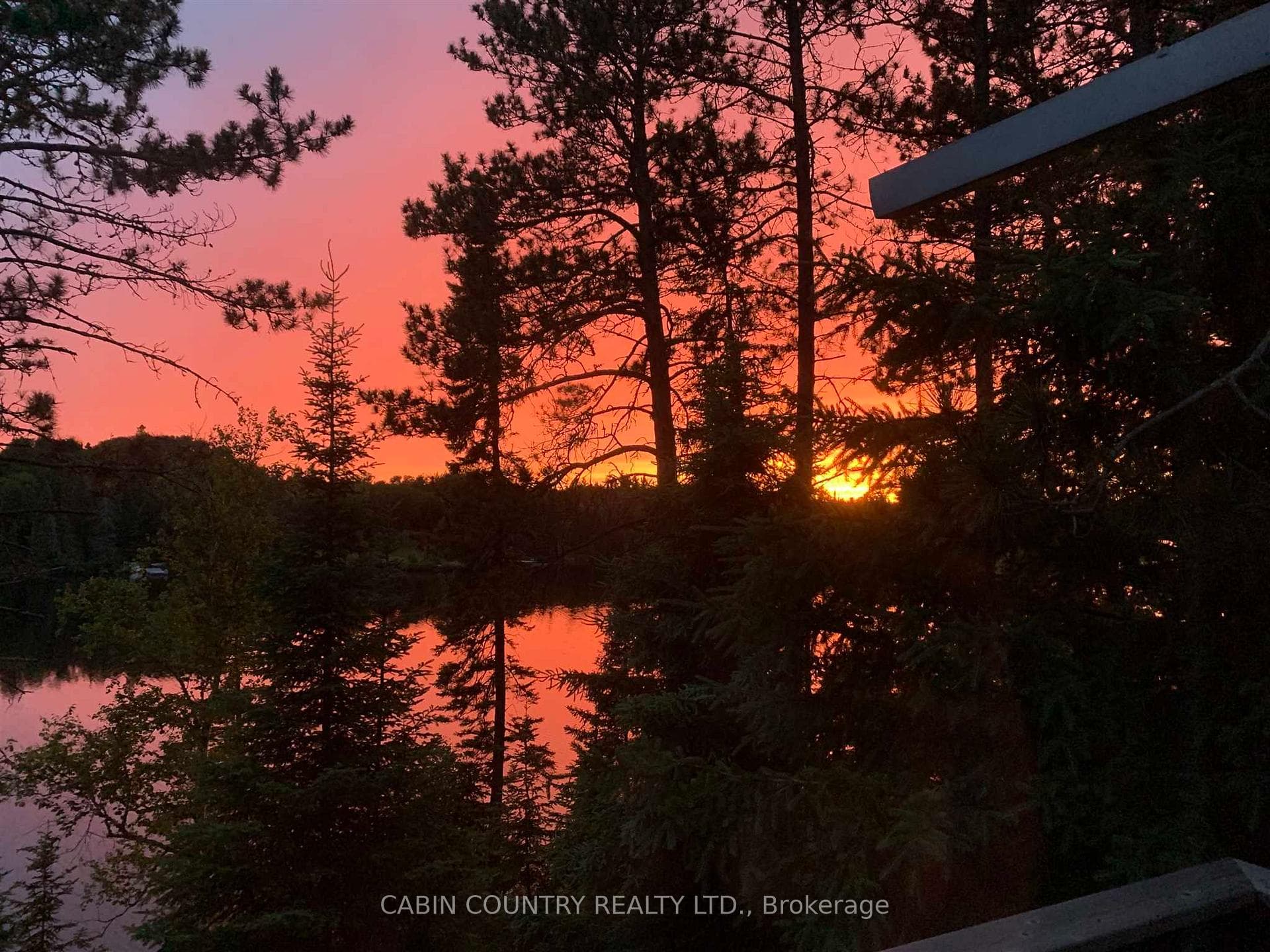 881 Hilly Lake Road photo 6