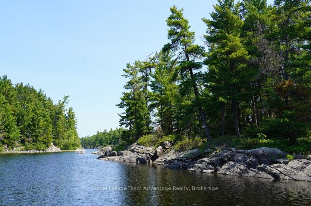 TP3411 ISLAND FRENCH RIVER N/A photo 15