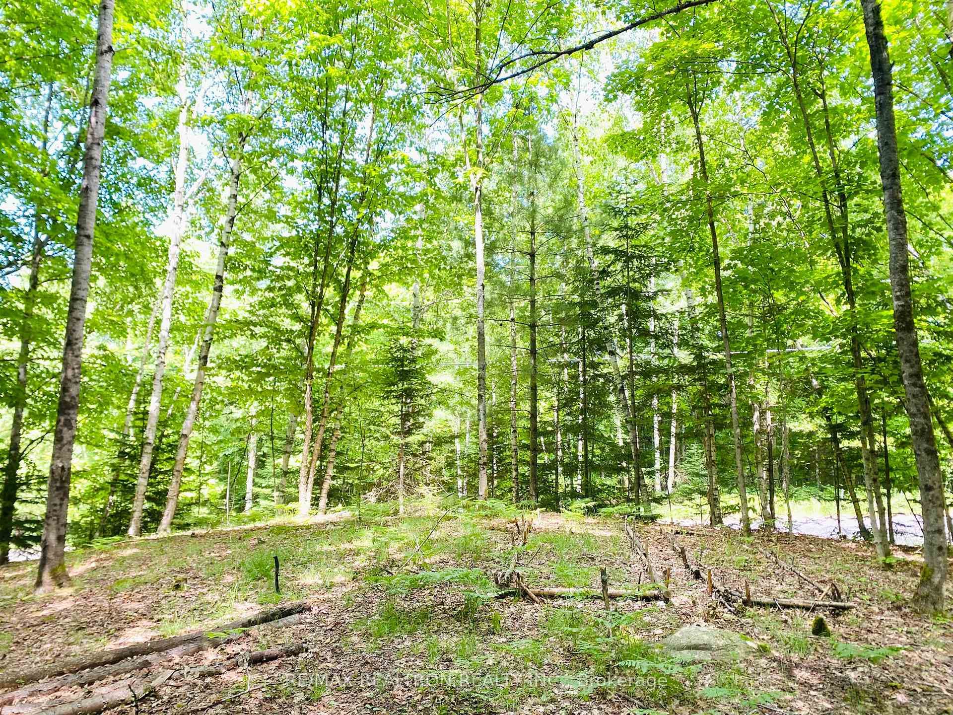 Cleared area for Bunkie or Acc Bldg
