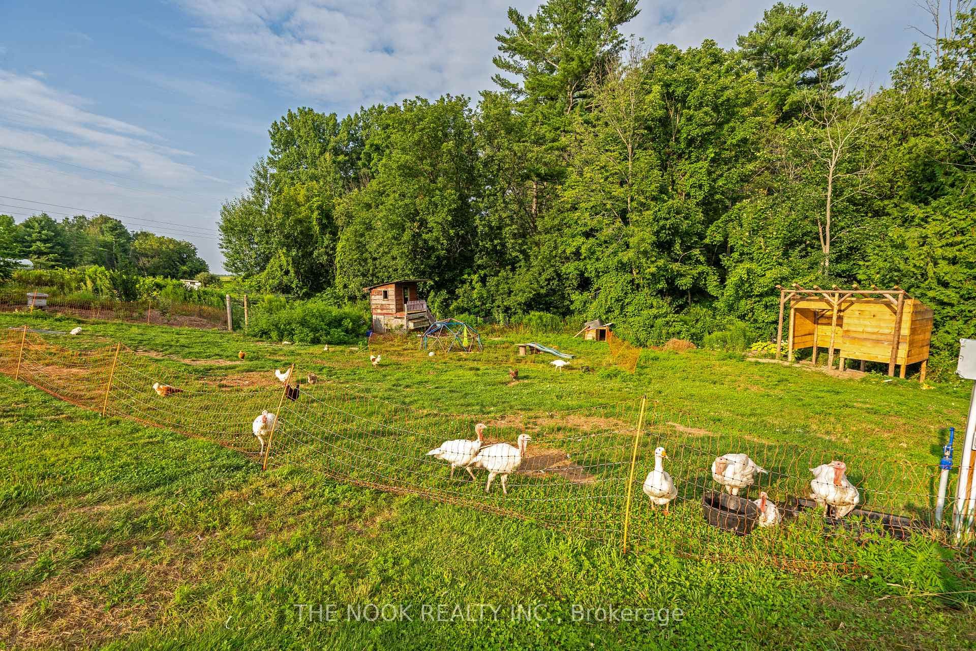 121 Gummow Road photo 38