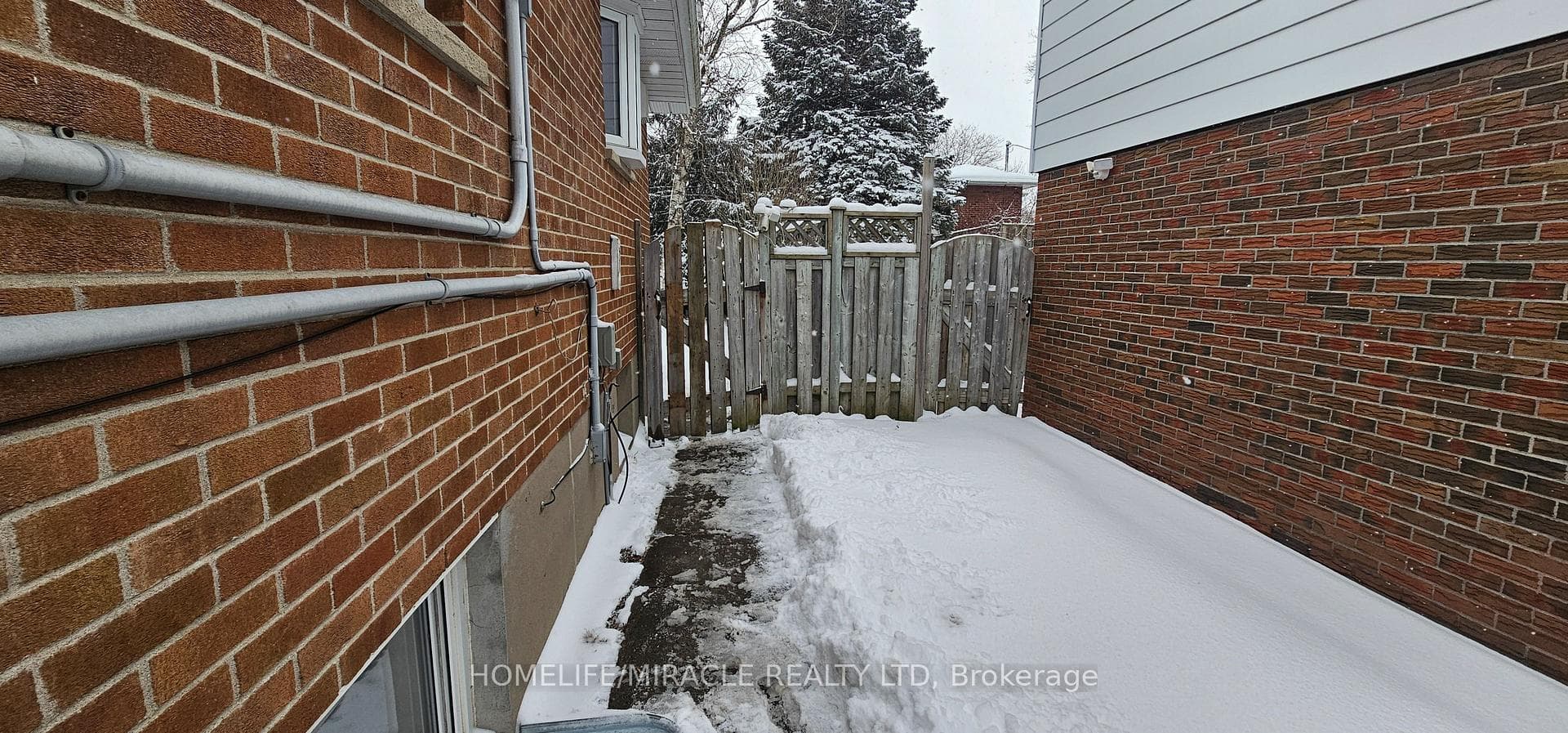 855 Olive Avenue Unit Bsmt photo 2