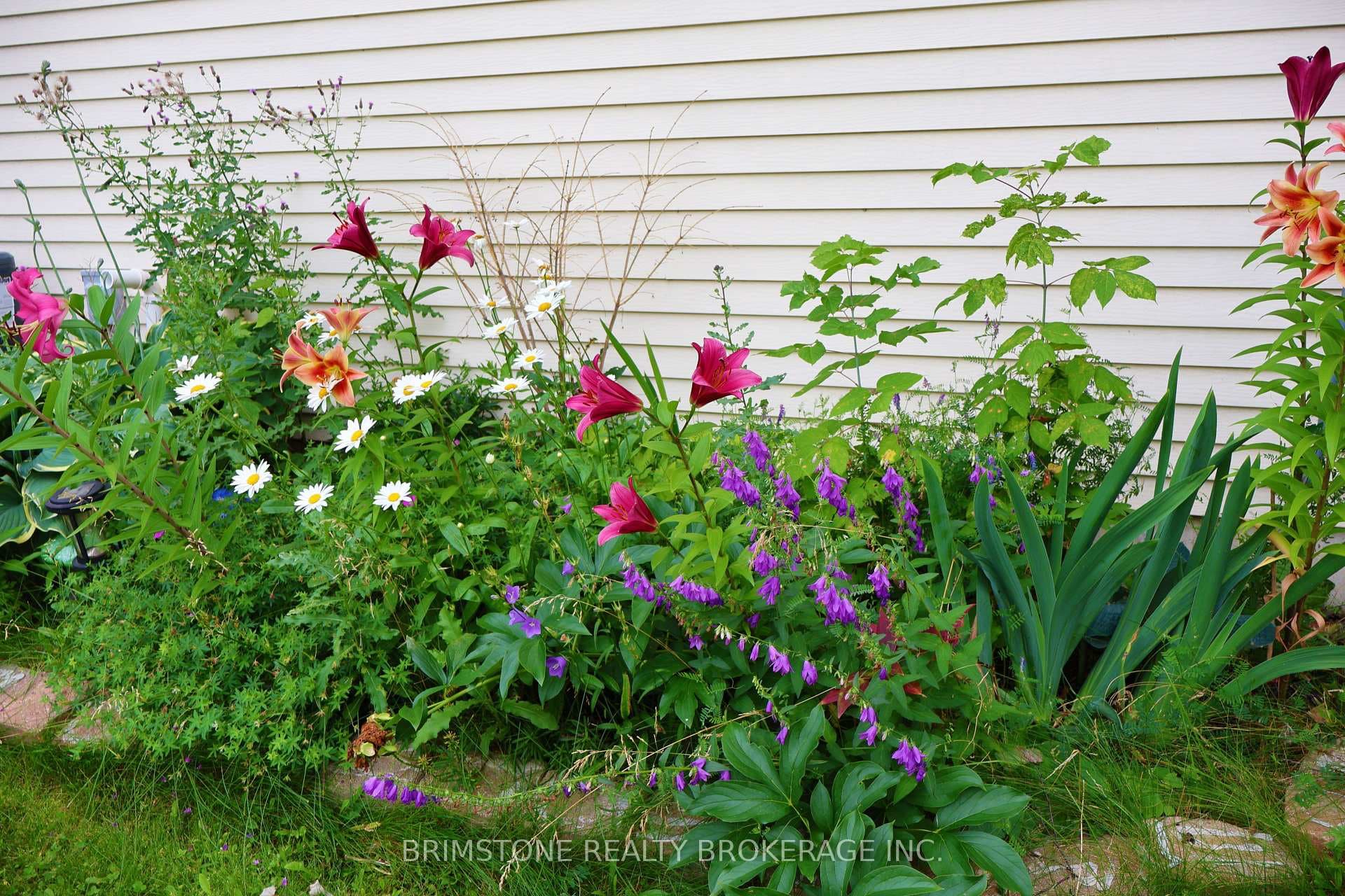 104 Hickling Trail photo 6