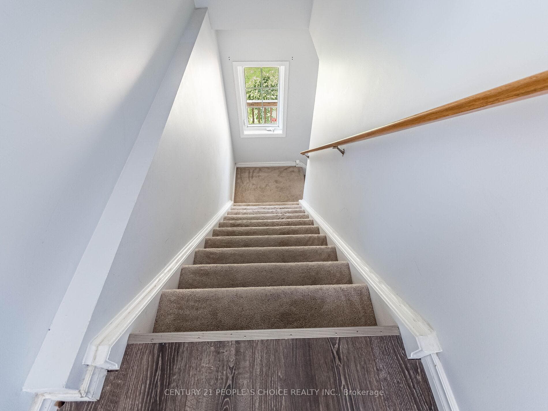 12 Hackberry Street photo 13