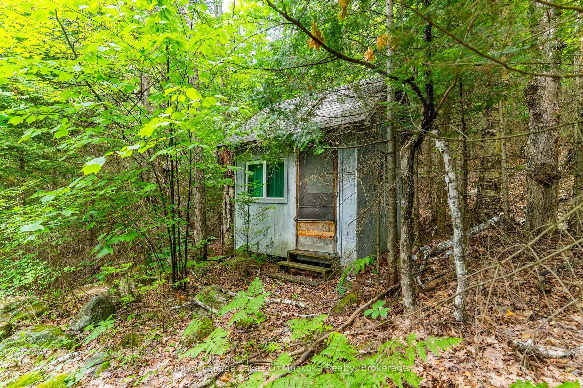 1236 Grace Road photo 28