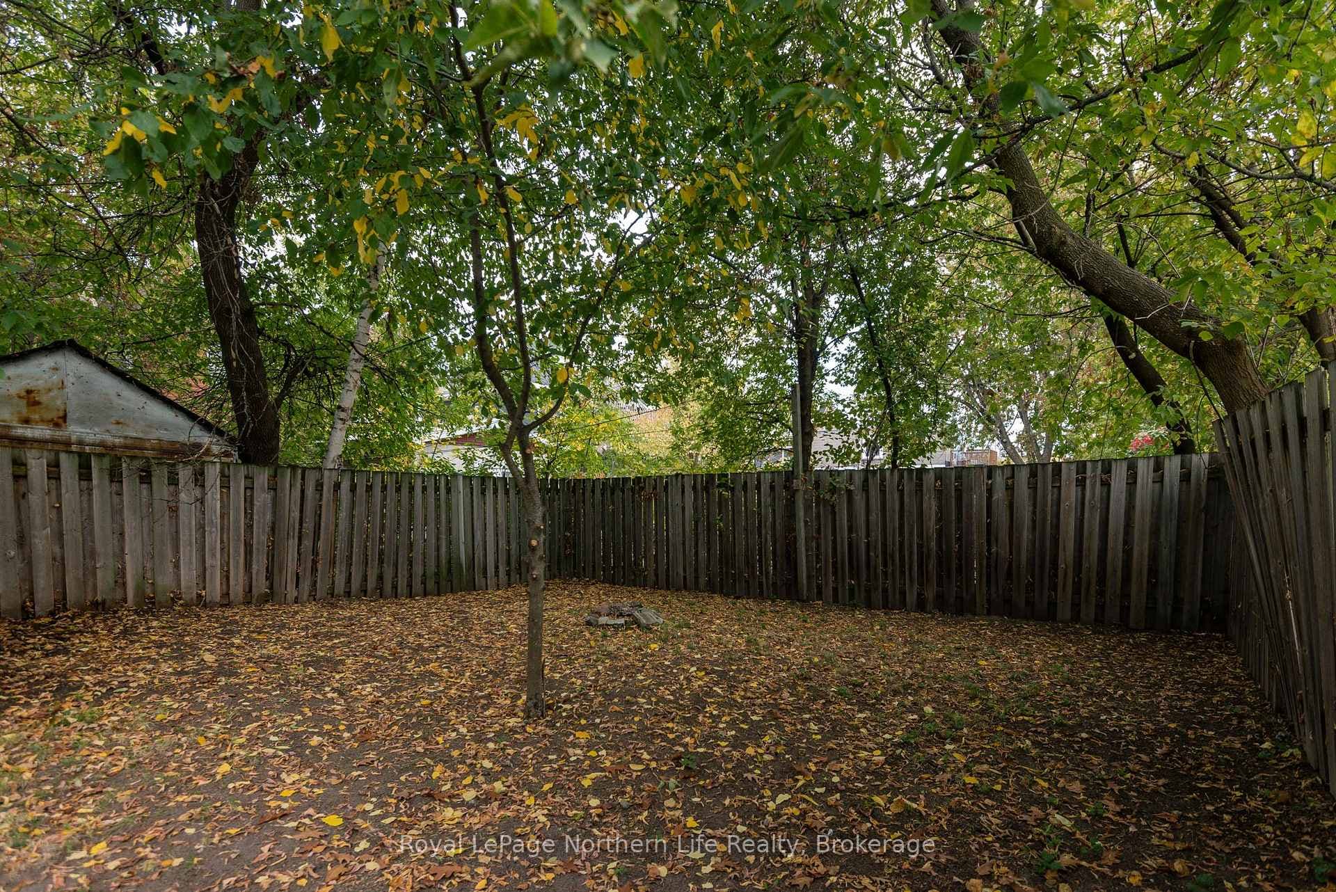 346 John Street photo 22
