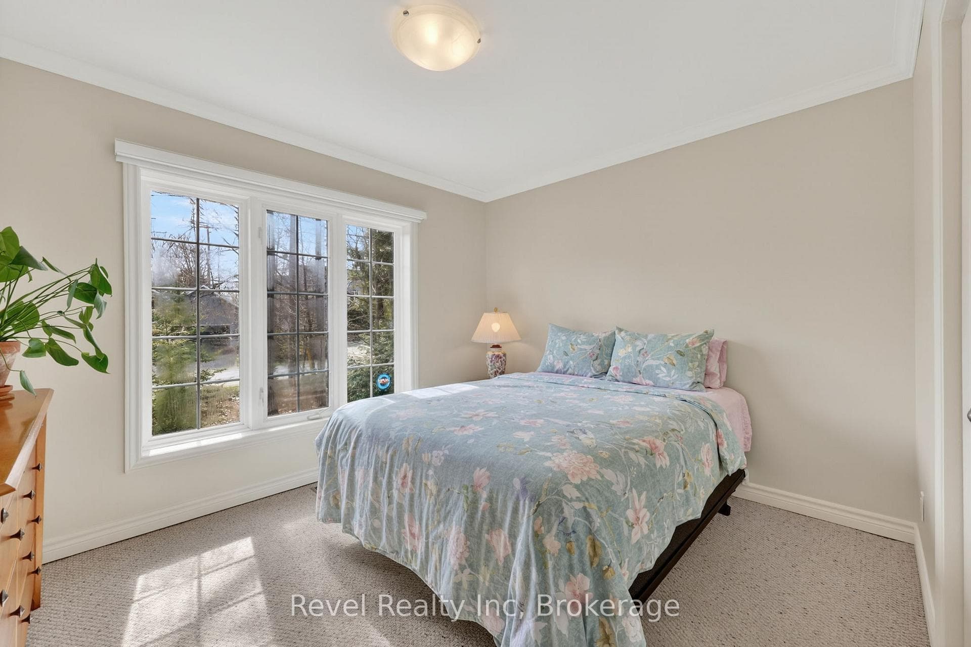 87 TROUT Lane photo 19