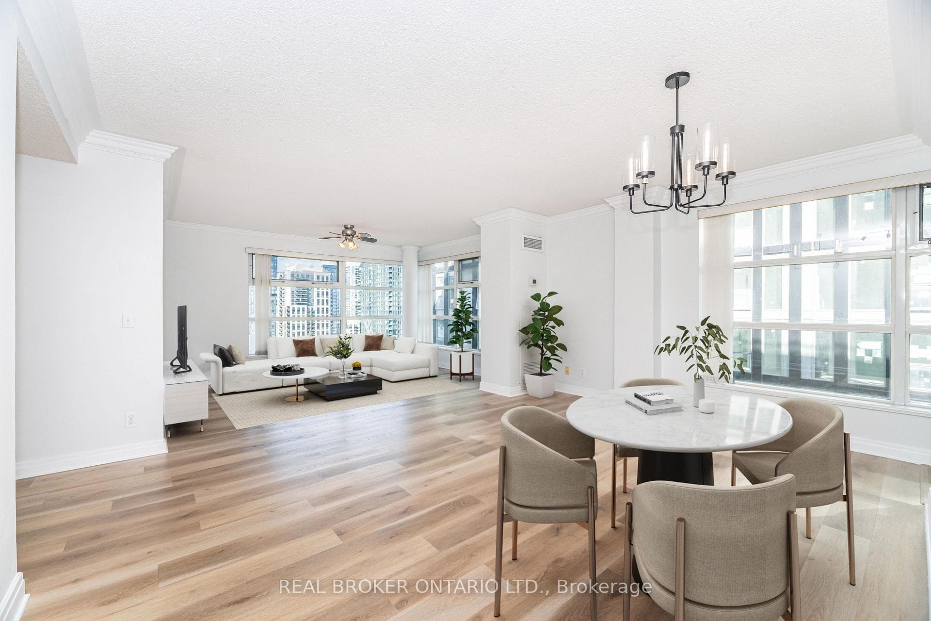 Living & Dinning area combo