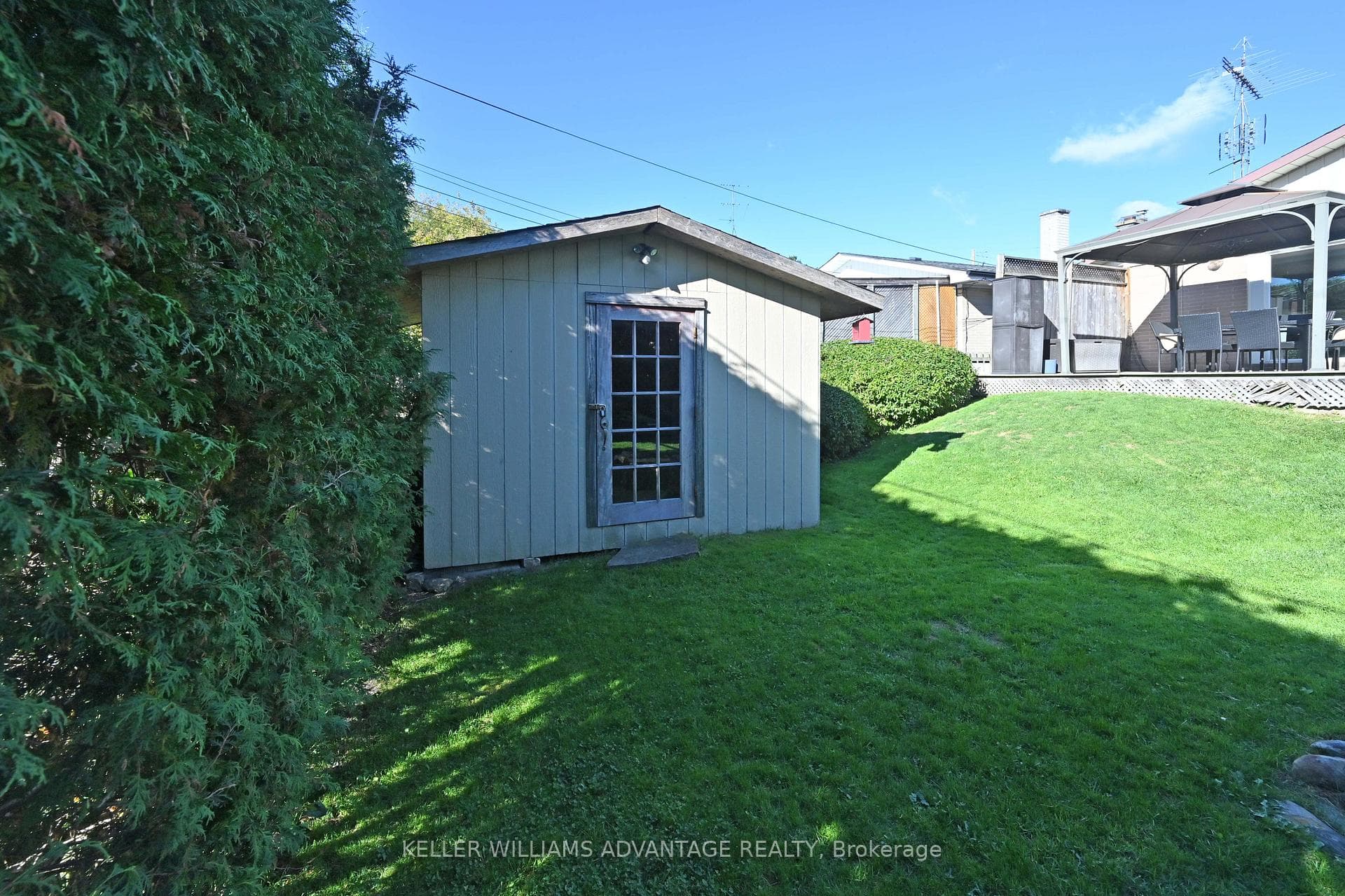 Back garden shed