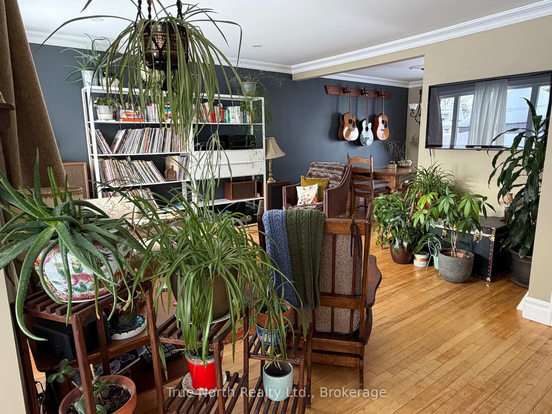 34 Dominion Avenue photo 5