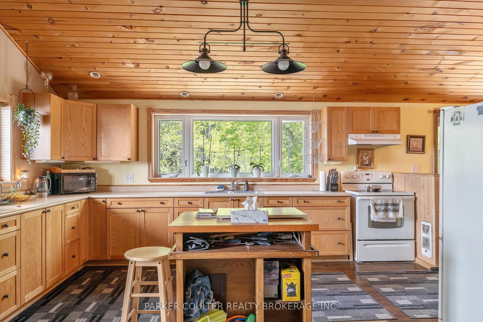115 Louisa Street photo 23