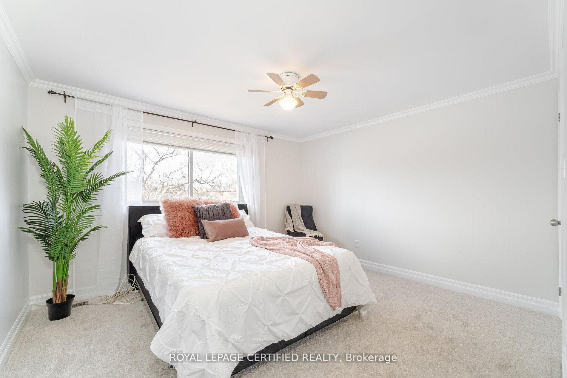 5 Stockman Crescent photo 32
