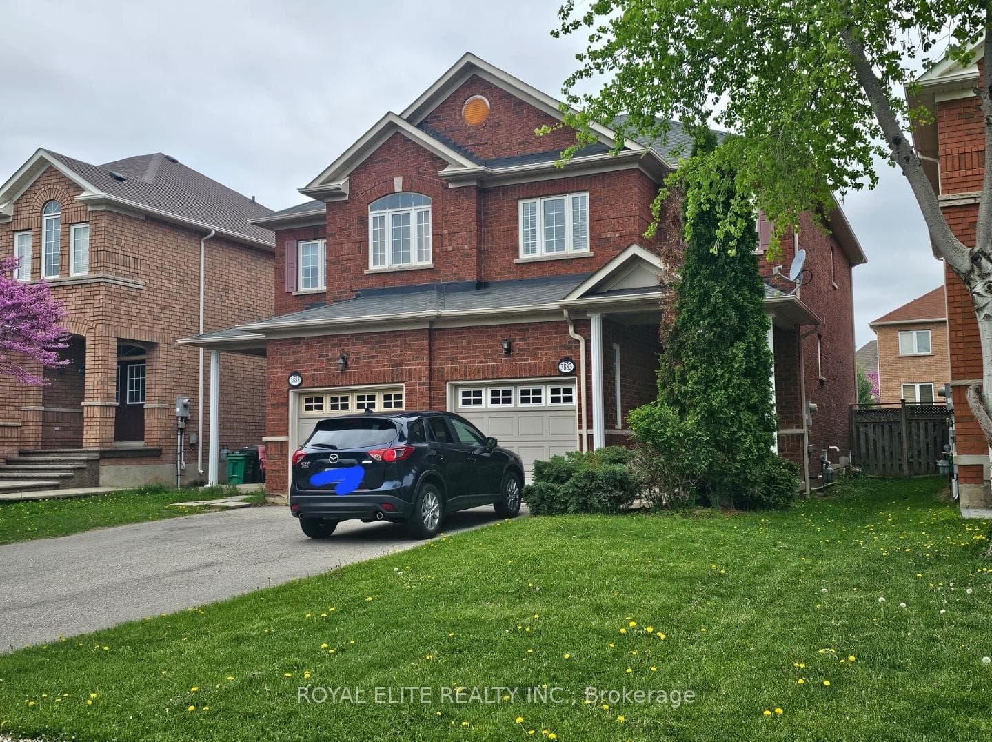 3883 Stardust Drive photo 1