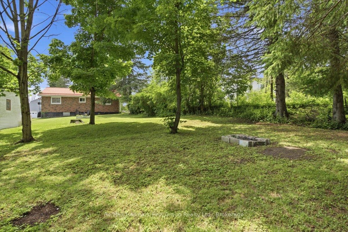Nice treed back yard