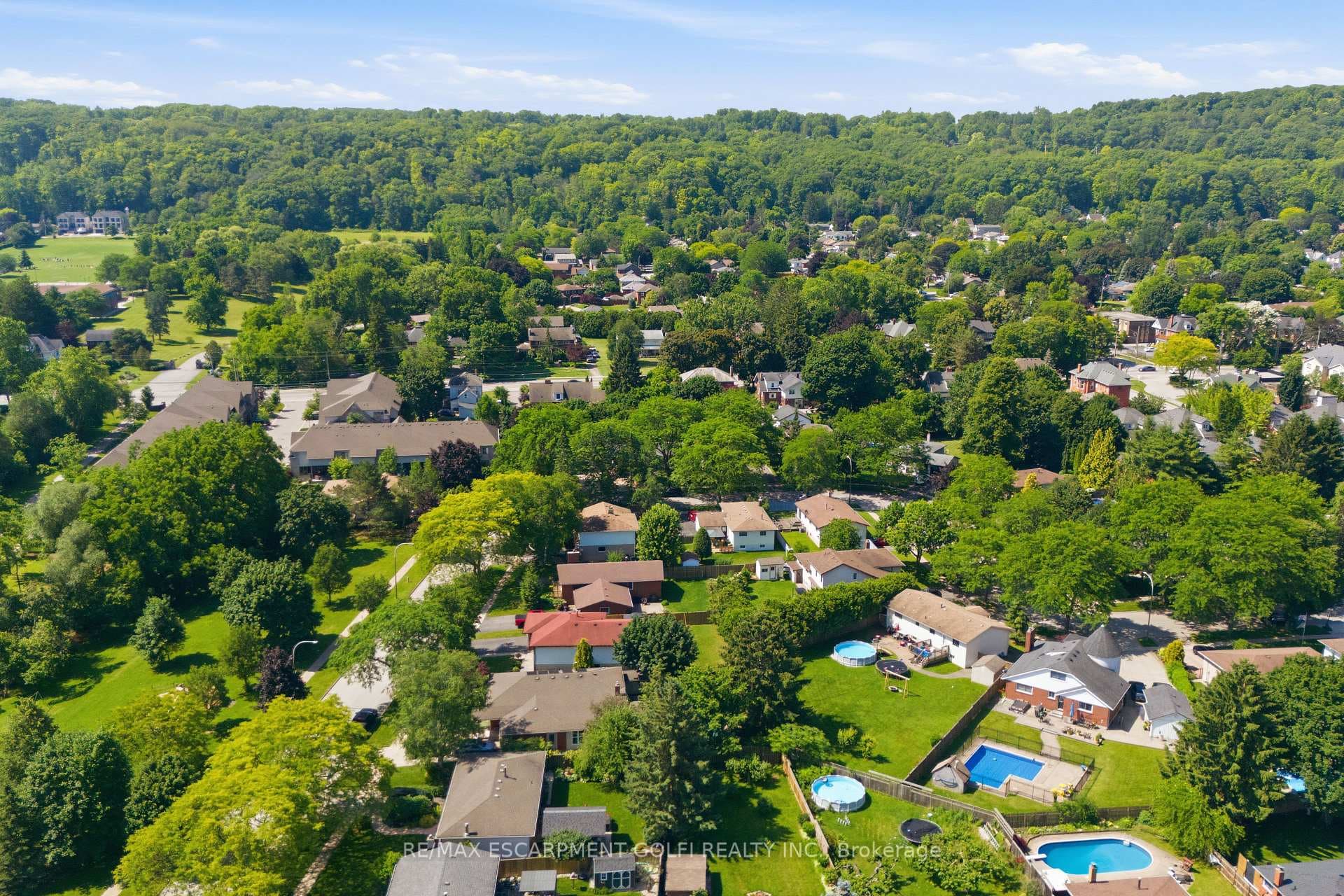 33 Debora Drive photo 39