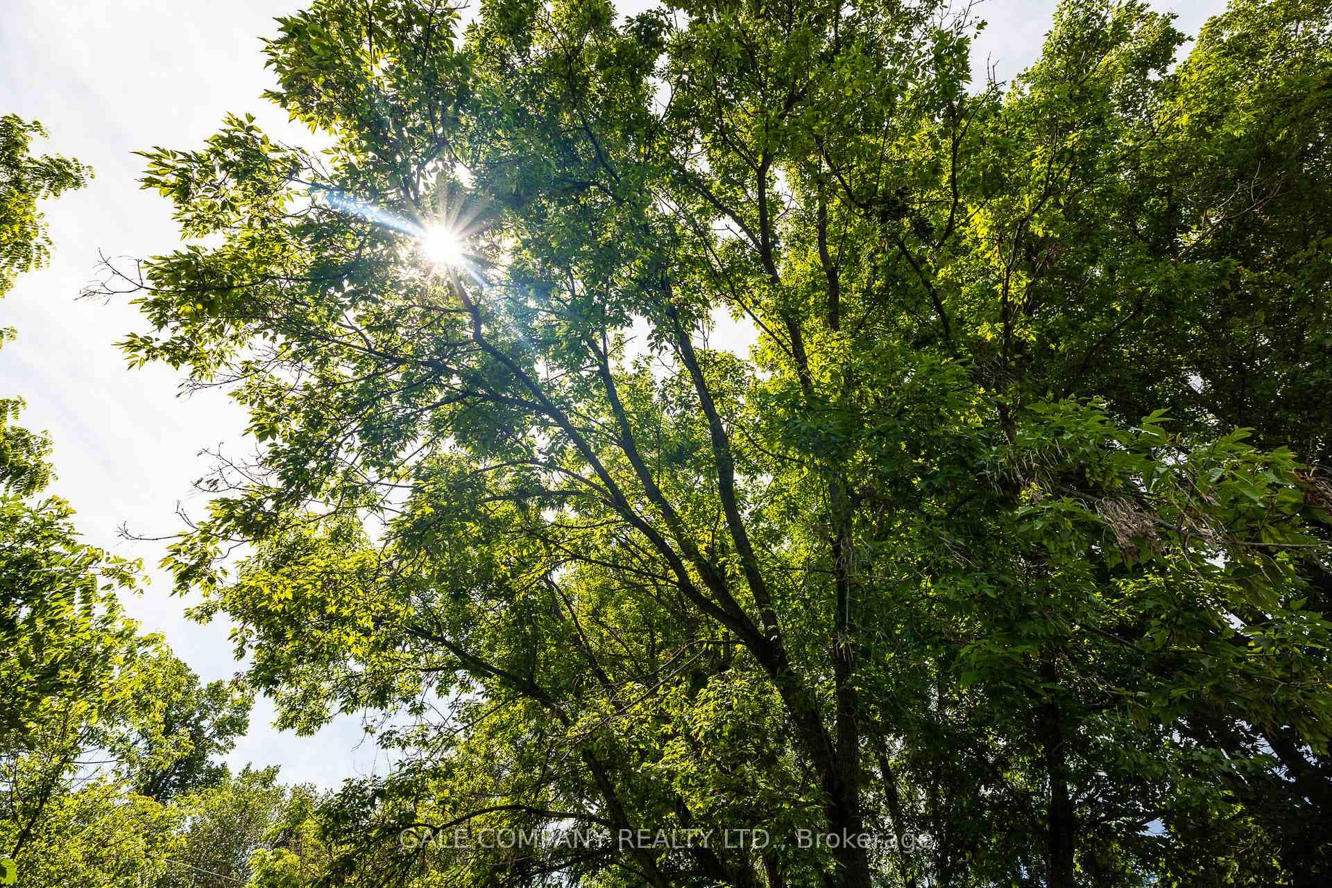 236 Blakeney Road photo 40