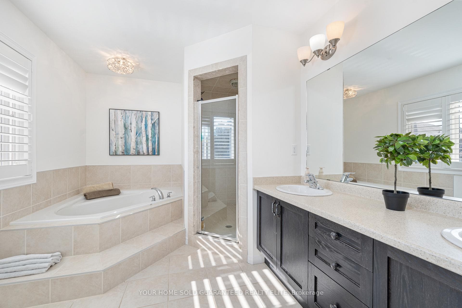 46 Peach Tree Lane photo 17