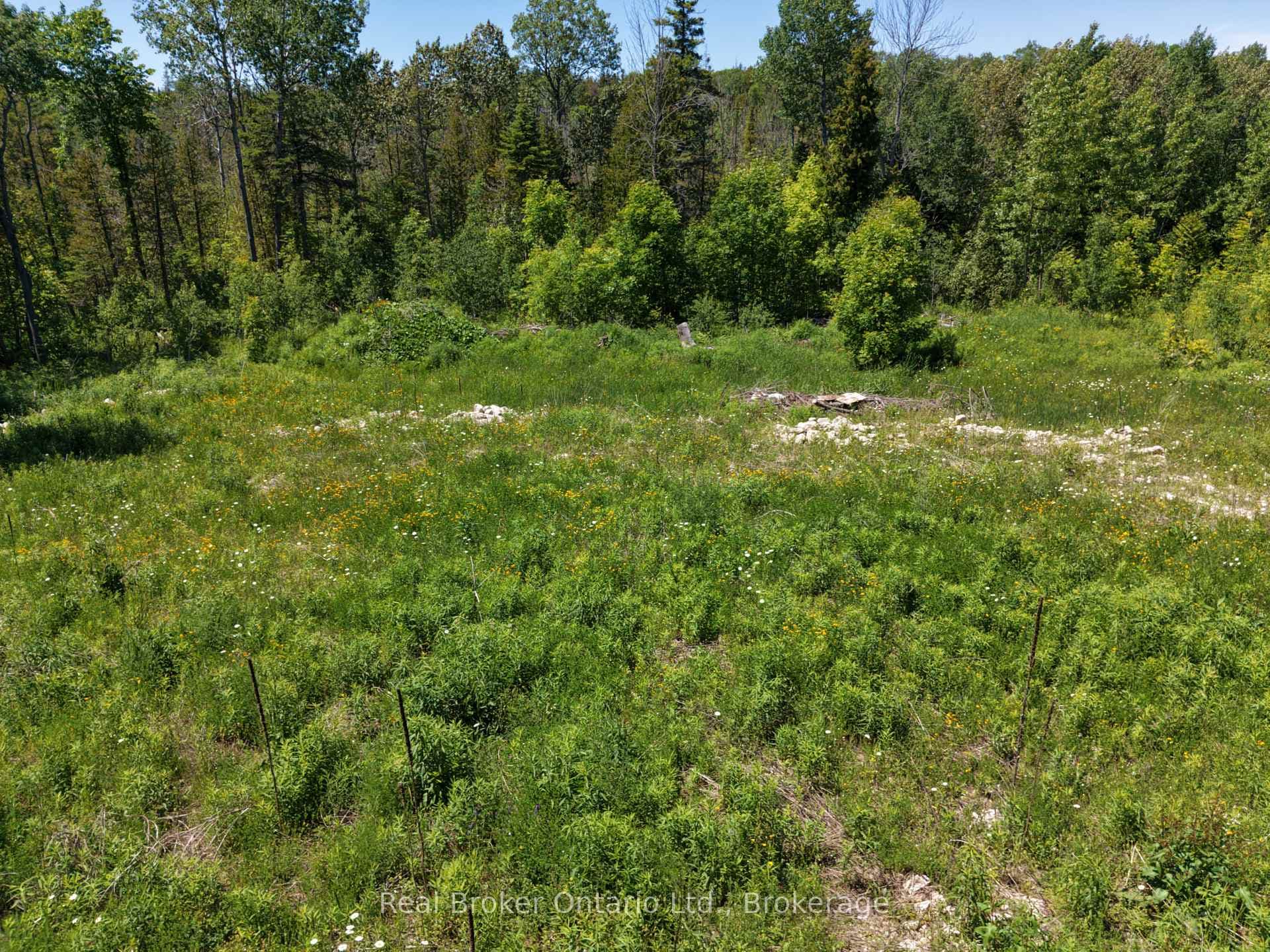 118 Tamarac Road photo 7