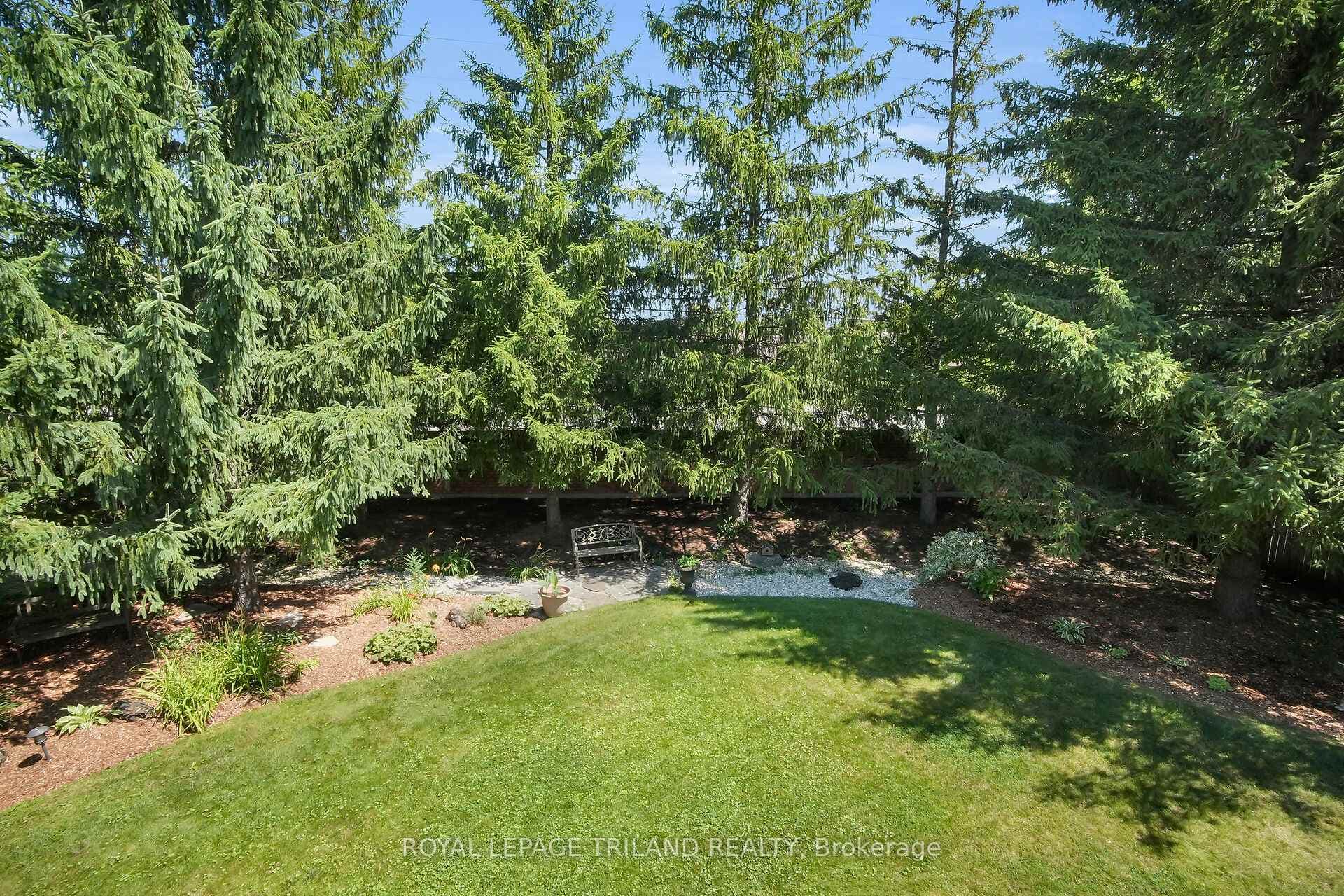 Backyard: Landscaped/Low Maintenance