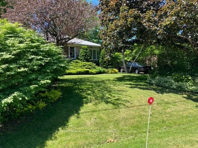 Front Yard Landscaping