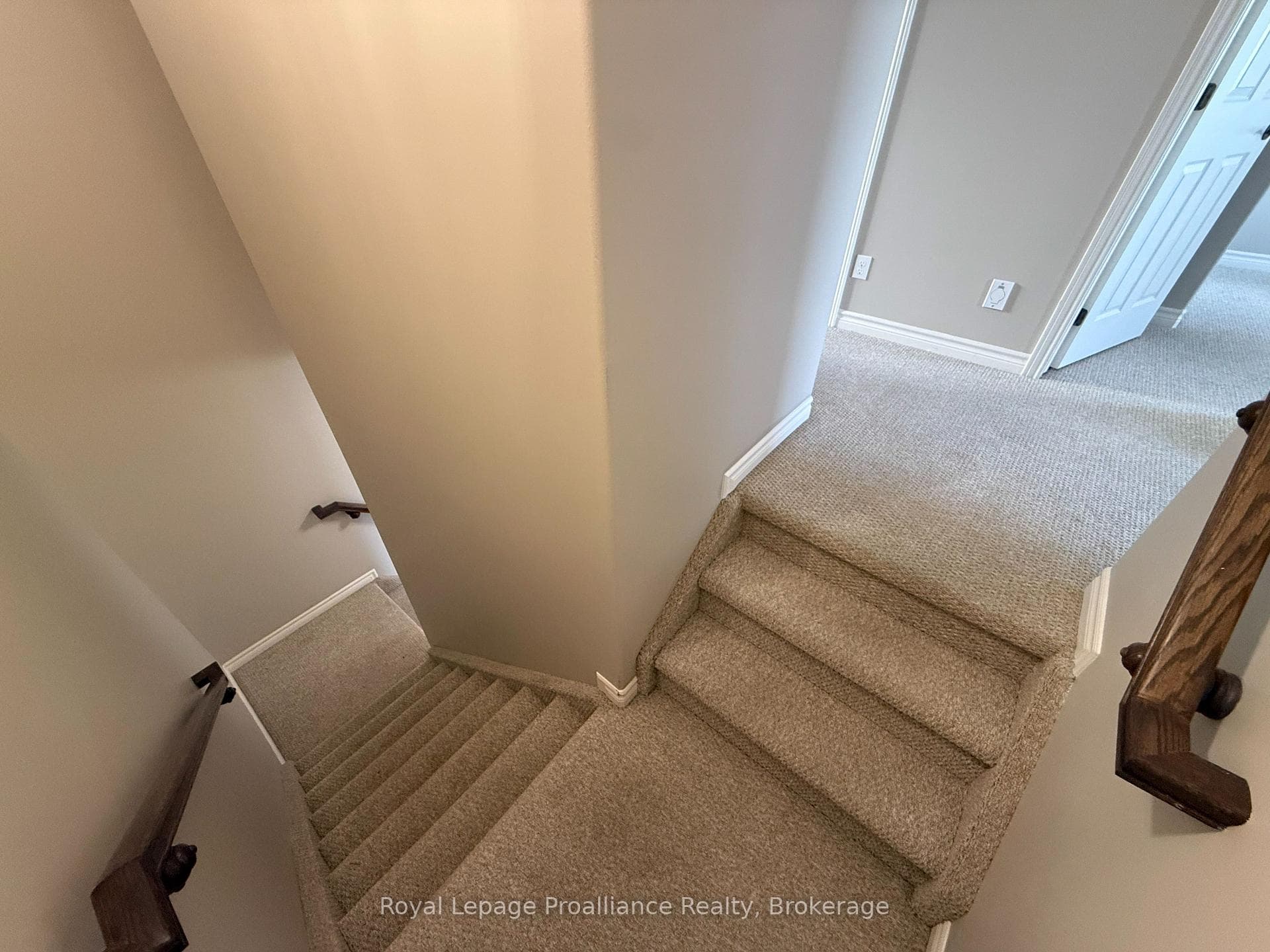 77 Mountain Ash Drive photo 20