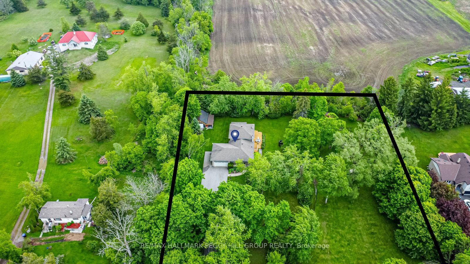 5853 Yonge Street photo 2
