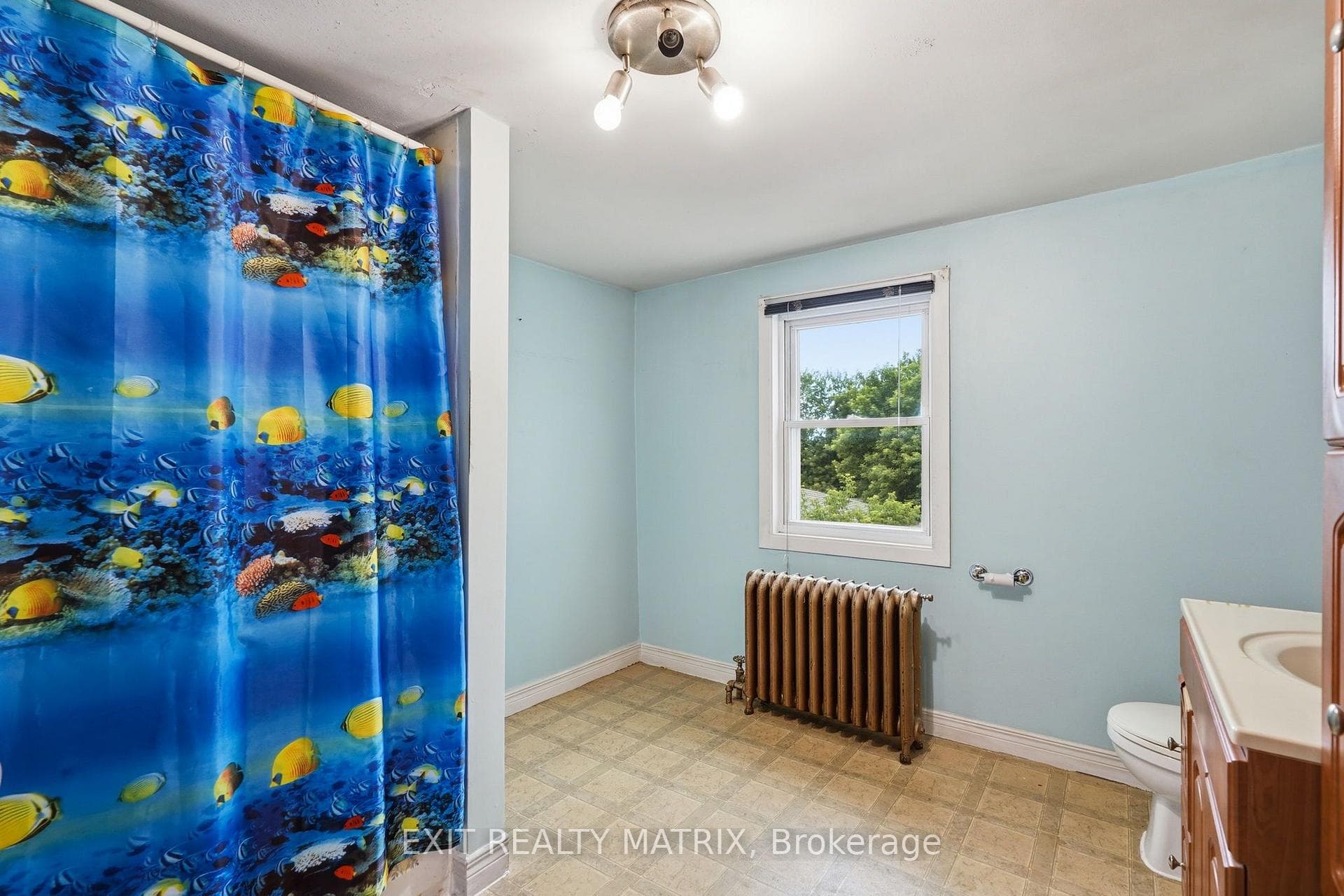 281 Higginson Street photo 23