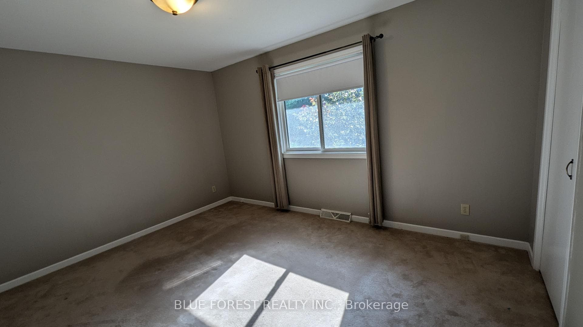 11 Cardinal Court photo 18