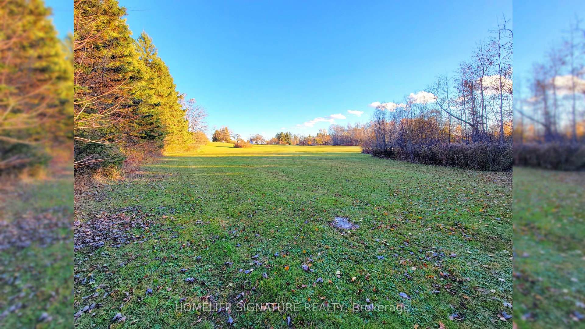 5273 25 Side Road photo 7