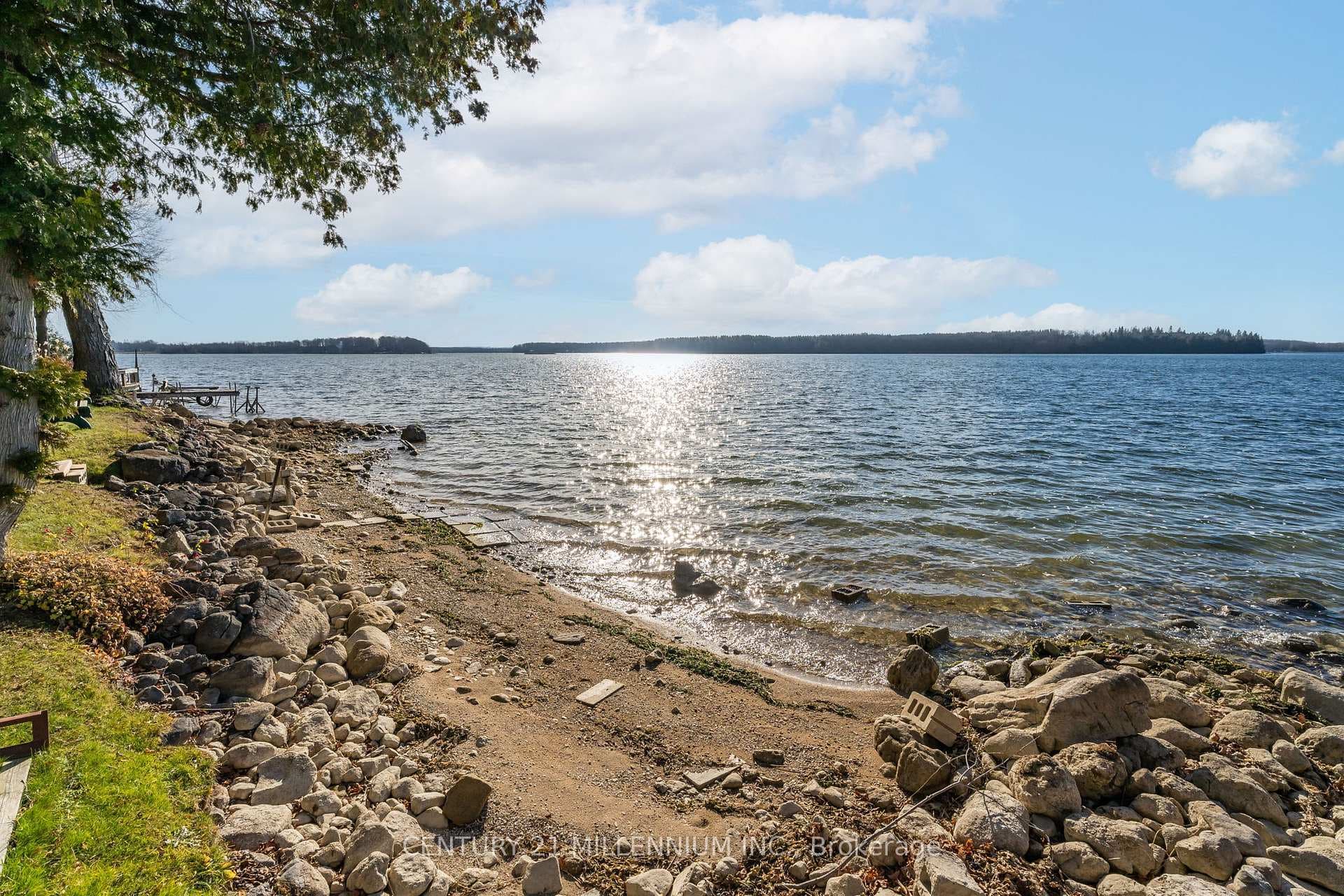 148 Lakeshore Boulevard photo 7