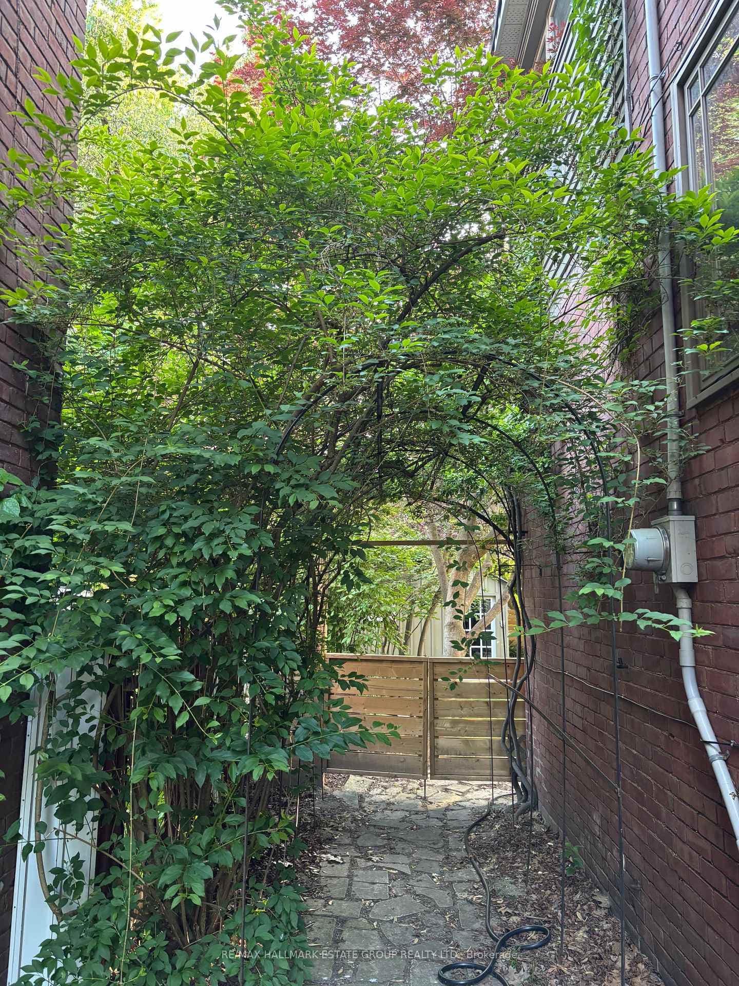 62 Hambly Avenue photo 21